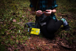 Pink Beds BioBlitz @ Cradle of Forestry - Heritage Site & Discovery Center | Pisgah Forest | North Carolina | United States