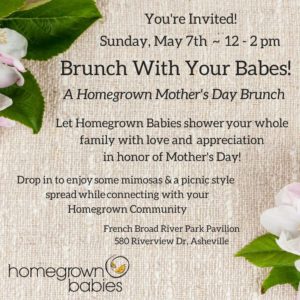 Mother's Day Brunch Picnic @ French Broad River Park Pavilion | Asheville | North Carolina | United States