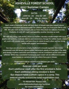 Asheville Forest School Summer Camp (3-8yrs) @ Asheville Forest School