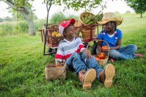 Farmer's Market @ Several Tractor Supply Co. locations | Hendersonville | North Carolina | United States