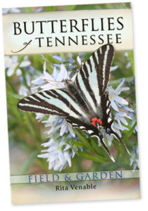 Butterfly Bonanza @ Cradle of Forestry - Heritage Site & Discovery Center | Pisgah Forest | North Carolina | United States