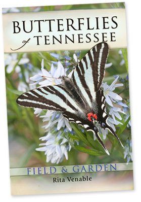 butterflies-tennessee-rita-venable