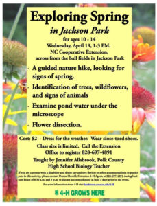 Exploring Spring (10-14yrs) @ Jackson Park | Hendersonville | North Carolina | United States