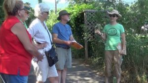 Greenways Discovery Day @ Lake Tomahawk  | Black Mountain | North Carolina | United States