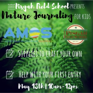 Pisgah Field School presents: Nature Journaling for Kids @ Asheville Museum of Science | Asheville | North Carolina | United States