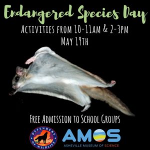 Endangered Species Day @ Asheville Museum of Science | Asheville | North Carolina | United States