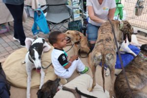 Hendersonville Petco Meet and Greet @ Petco (Hendersonville, NC)  | Hendersonville | North Carolina | United States