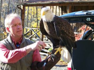 SRP- Birds of Prey @ Waynesville Public Library | Waynesville | North Carolina | United States