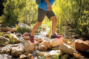 Trail Safety + First Aid @ Frugal Backpacker  | Asheville | North Carolina | United States