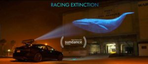 Racing Extinction with Special Guest Leilani Münter! @ Sanctuary Brewing Company  | Hendersonville | North Carolina | United States