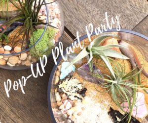 Garden Party! Create a Gemstone Terrarium @ Sunny Point Café  | Asheville | North Carolina | United States