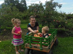 Labor Day Weekend Fun at the Farm @ Stepp's Hillcrest Orchard  | Hendersonville | North Carolina | United States