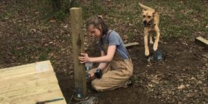 Volunteer to Build a New Campsite on the French Broad Paddle Trail @ Westfeldt Park  | Fletcher | North Carolina | United States