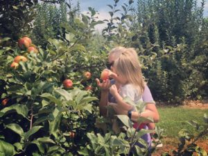 Apple Picking @ Creasman Farms | Hendersonville | North Carolina | United States