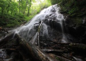 National Public Lands Day - Family Hike @ Nantahala Hiking Club  | Franklin | North Carolina | United States