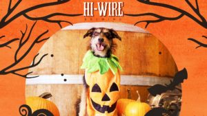 Halloween Dog Costume Contest @ Hi-Wire Brewing  | Asheville | North Carolina | United States