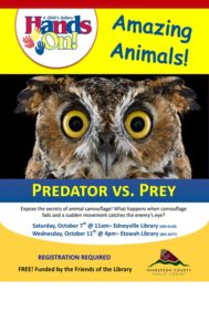 Amazing Animals- Predator vs. Prey @ Edneyville Library | Hendersonville | North Carolina | United States