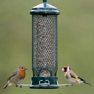 Free birding class for kids-attracting birds to your backyard @ The North Carolina Arboretum  | Asheville | North Carolina | United States