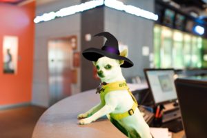 Howl-O-Ween Dog Costume Party @ Aloft Asheville Downtown | Asheville | North Carolina | United States