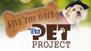 Annual News 13 Pet Project! @ Camp Bow Wow South Asheville  | Arden | North Carolina | United States