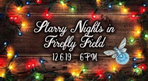 Starry Nights Tree Lighting @ Blue Ghost Brewing Company  | Fletcher | North Carolina | United States