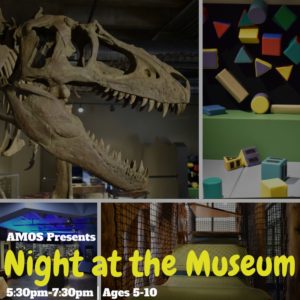 'Night at the Museum' Parents Night Out Program (5-10yrs) @ Asheville Museum of Science | Asheville | North Carolina | United States