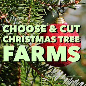 Choose & Cut Your Own Christmas Tree @ near Asheville