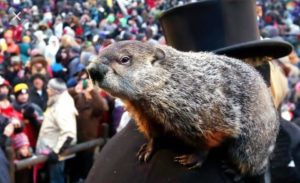 Groundhog Day Party! @ WEDGE STUDIOS  | Asheville | North Carolina | United States