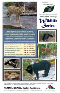 Wildlife Series @ Main Hendersonville Public Library | Hendersonville | North Carolina | United States