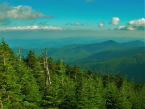 Blue Ghost's 2018 WNC Natural History Series @ Blue Ghost Brewing Company  | Fletcher | North Carolina | United States