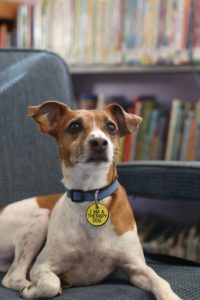 Read to our Tail Waggin' Tutor, J.R. @ Swannanoa Library Branch  | Swannanoa | North Carolina | United States