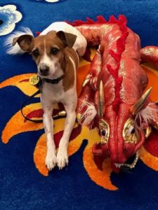 Chinese New Year of the Dog Kids Party @ Swannanoa Library Branch  | Swannanoa | North Carolina | United States