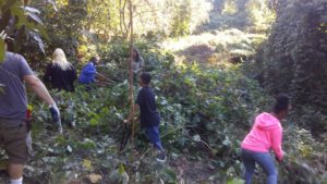 Winter Work Party at the Dr. GWC Edible Park @ Dr. George Washington Carver Edible Park | Asheville | North Carolina | United States