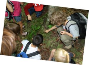 Makers & Shakers: Intro to Botany with the NC Arboretum (K-5th Grade) @ Pack Memorial Public Library | Asheville | North Carolina | United States