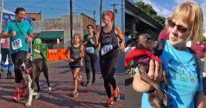 Strut Your Mutt 5K and 1 Mile Furry Scurry @ Historic Hendersonville Train Depot | Hendersonville | North Carolina | United States