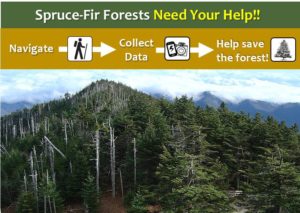 Saving Spruce - Citizen Science Training @ Wild South | Asheville | North Carolina | United States