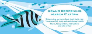 Here come the sharks! Grand RE-OPENING! @ Team ECCO Aquarium & Shark Lab  | Hendersonville | North Carolina | United States