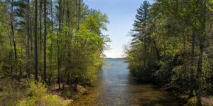 Lake James: 100-Mile Challenge Hike @ Lake James State Park | Nebo | North Carolina | United States