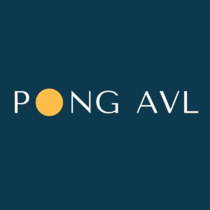 PONG AVL at The Grey Eagle @ The Grey Eagle  | Asheville | North Carolina | United States