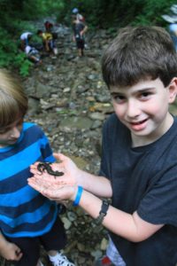 Salamander Saturday @ The North Carolina Arboretum  | Asheville | North Carolina | United States