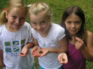 FrogWatch Workshop @ WNC Nature Center | Asheville | North Carolina | United States