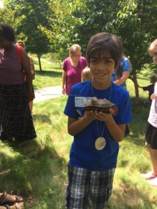 Herpetology Challenge Workshop @ The North Carolina Arboretum  | Asheville | North Carolina | United States