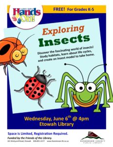 Exploring Insects @ Etowah Public Library | Etowah | North Carolina | United States