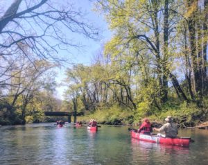 Guided Canoe Trip @ French Broad River