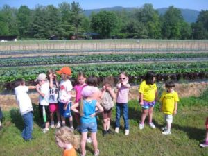 Farm Work Day And (Hopefully) Strawberry Picking @ The Ten Acre Garden  | Canton | North Carolina | United States