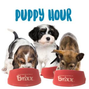 Puppy Hour @ Brixx Wood Fired Pizza Asheville | Asheville | North Carolina | United States