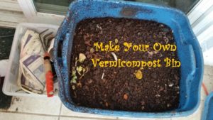 Make Your Own Worm Composting Bin (Preschooler to Adult) @ Pack Memorial Public Library | Asheville | North Carolina | United States