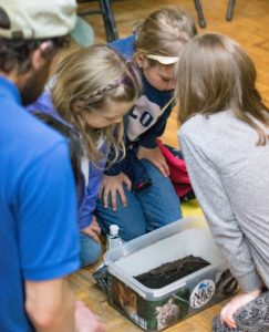 Junior Wild Walk @ WNC Nature Center | Asheville | North Carolina | United States