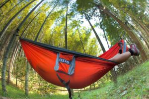 National Hammock Day Celebration @ Frugal Backpacker  | Asheville | North Carolina | United States