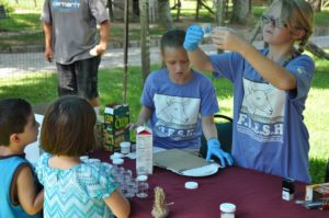 Hands-on History in July Series @ Carl Sandburg Home National Historic Site | Flat Rock | North Carolina | United States